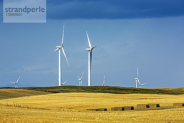Große Metallwindturbinen auf sanften Hügeln mit blauem Himmel  nördlich von Waterton; Alberta  Kanada