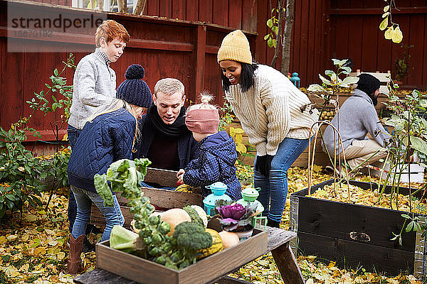 Mann und Frau unterhalten sich mit Kindern  während ein Mann frische Produkte im Hof sammelt
