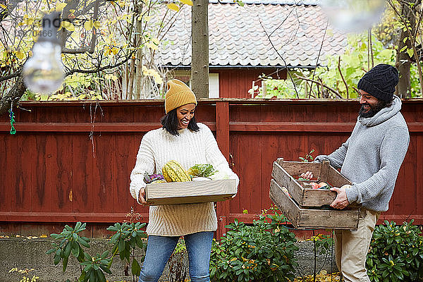 Lächelnder Mann und Frau stehen mit frischem Gemüsekorb im Hof