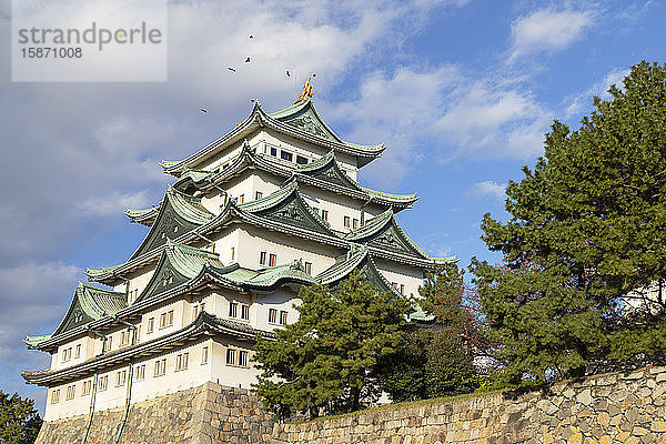 Burg Nagoya  Nagoya  Honshu  Japan  Asien