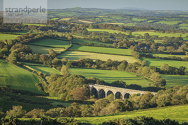 Viadukt  Teil des Granite Way  umgeben von der hügeligen Landschaft des Dartmoor  Devon  England  Vereinigtes Königreich  Europa
