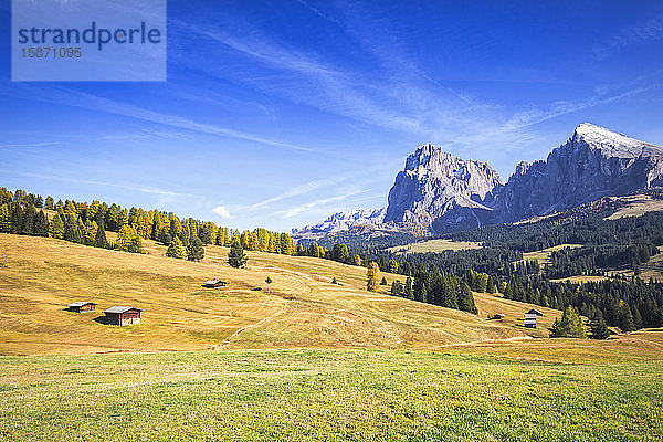 Herbstfärbung auf der Seiser Alm  Dolomiten  Provinz Bozen  Südtirol  Italien  Europa