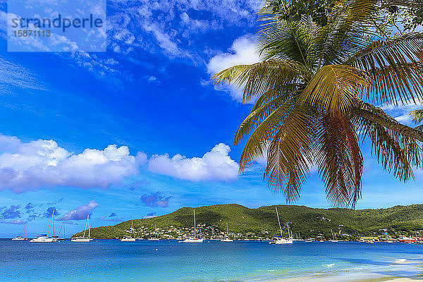 Ruhige Karibik  Palmen am Meeresufer  schönes Port Elizabeth  Admiralty Bay  Bequia  Die Grenadinen  St. Vincent und die Grenadinen  Inseln über dem Winde  Westindien  Karibik  Mittelamerika