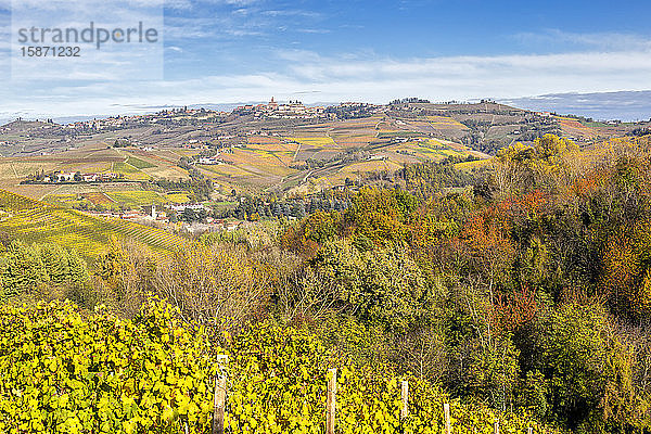 Dorf Diano d'Alba im Herbst  Weinregion Barolo  Langhe  Piemont  Italien  Europa