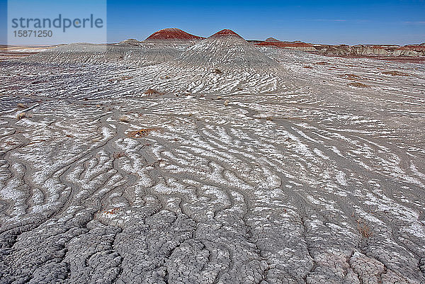 Mit Salz bedeckte Hügel aus Bentonit im Petrified Forest National Park entlang des Blue Forest Trail  Arizona  Vereinigte Staaten von Amerika  Nordamerika
