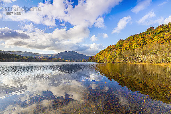 Loch Achray und Ben Venue  Herbstfarben  Stirling  Schottland  Vereinigtes Königreich  Europa
