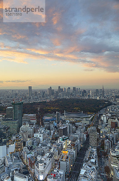 Blick auf die Skyline von Shinjuku und das Stadtzentrum bei Sonnenuntergang  Tokio  Honshu  Japan  Asien