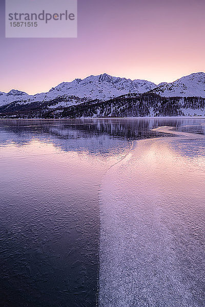 Die Farben des Sonnenaufgangs spiegeln sich auf der eisigen Oberfläche des Silsersees  Engadin  Graubünden  Schweizer Alpen  Schweiz  Europa