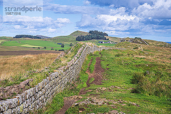 Hadrianswall  UNESCO-Welterbestätte  Henshaw  Hexham  Northumberland  England  Vereinigtes Königreich  Europa