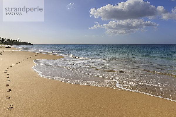 Tropischer Strand Anse de la Perle  Sonnenanbeter  goldener Sand  Fußabdrücke  Death In Paradise Location  Deshaies  Guadeloupe  Leeward Islands  Westindien  Karibik  Mittelamerika