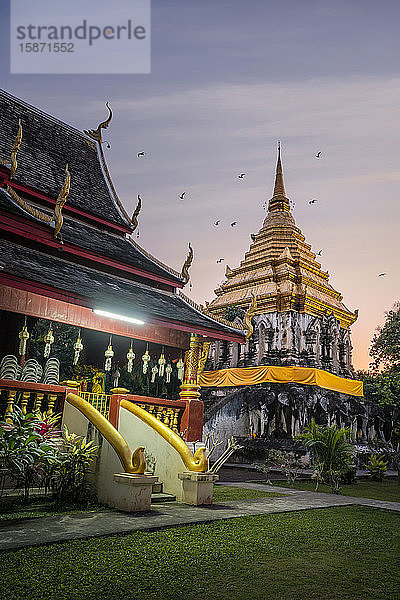 Sonnenuntergang über Chedi Chiang Lom in der buddhistischen Tempelanlage Wat Chiang Man  Chiang Mai  Thailand  Südostasien  Asien