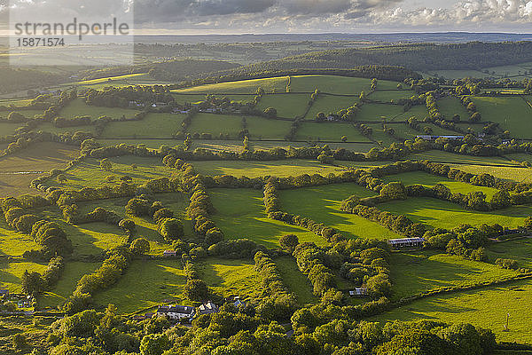 Luftaufnahme einer Drohne von hügeliger Landschaft im Abendlicht  Devon  England  Vereinigtes Königreich  Europa