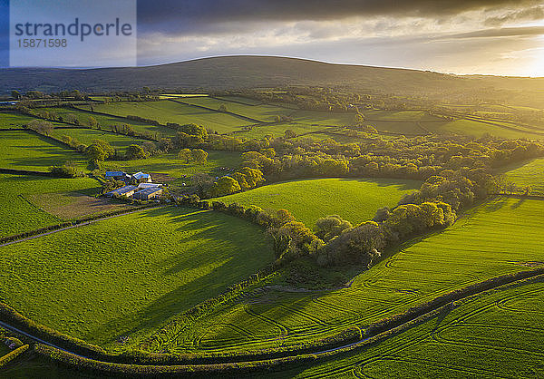 Luftaufnahme einer Drohne vom abendlichen Sonnenlicht über Livaton  Devon  England  Vereinigtes Königreich  Europa