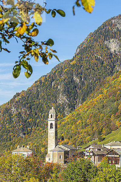 Alter Glockenturm und Kirche in herbstlicher Landschaft  Soglio  Val Bregaglia  Kanton Graubünden  Schweiz  Europa