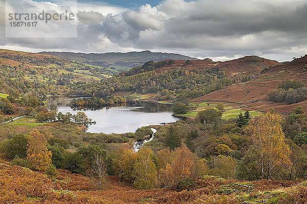Herbstfarben rund um Rydal Water im Lake District National Park  UNESCO-Weltkulturerbe  Cumbria  England  Vereinigtes Königreich  Europa