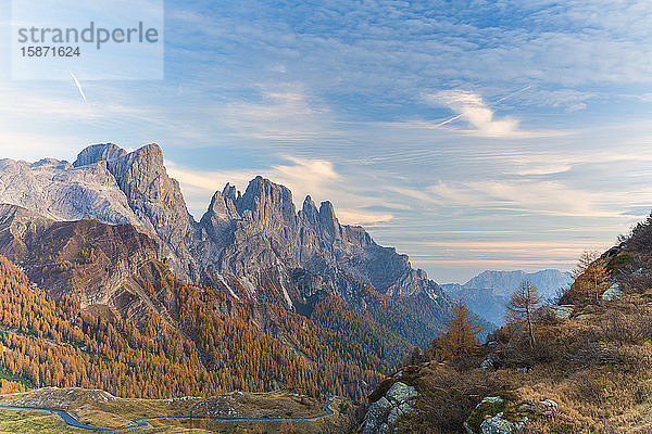 Wälder im Herbst mit Pala di San Martino und Cima Della Rosetta im Hintergrund  Pale di San Martino  Rolle Pass  Trentino  Italien  Europa