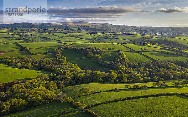 Luftaufnahme einer Drohne von hügeliger Landschaft in der Nähe von Dartmoor  Devon  England  Vereinigtes Königreich  Europa