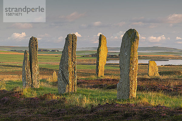 Neolithischer Ring of Brodgar  UNESCO-Weltkulturerbe  in der Morgendämmerung auf den Orkney-Inseln  Schottland  Vereinigtes Königreich  Europa