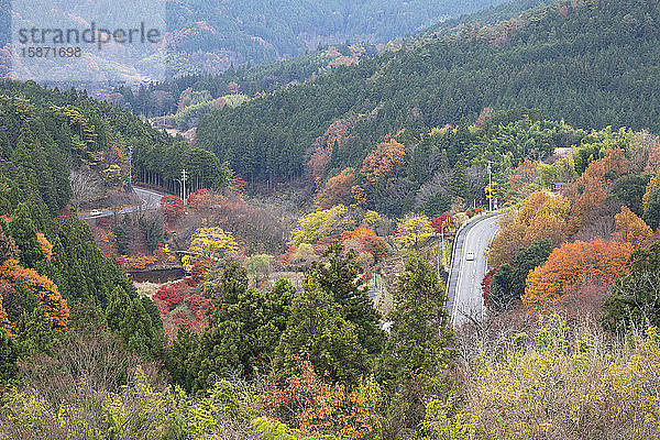 Autos fahren durch herbstliche Bäume  Magome  Präfektur Gifu  Honshu  Japan  Asien