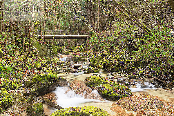 Bach im Wald am Nakasendo-Weg  Magome  Präfektur Gifu  Honshu  Japan  Asien