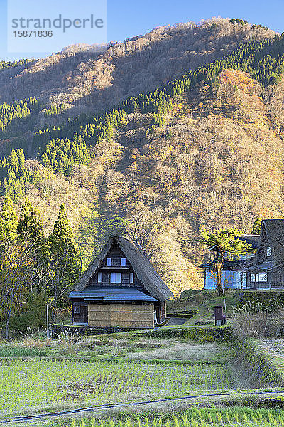 Traditionelle Häuser von Ainokura  UNESCO-Weltkulturerbe  Gokayama  Präfektur Toyama  Honshu  Japan  Asien