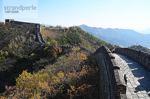Blick entlang der Chinesischen Mauer  Abschnitt Mutianyu  UNESCO-Weltkulturerbe  Bäume in Herbstfarben  Peking  China  Asien