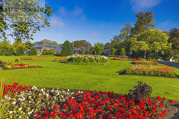 Botanische Gärten  Glasgow  Schottland  Vereinigtes Königreich  Europa