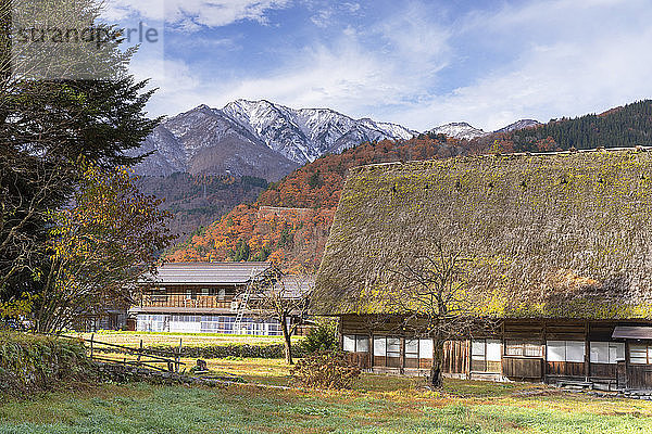 Traditionelle Häuser von Ogimachi  UNESCO-Weltkulturerbe  Shirakawa-go  Präfektur Toyama  Honshu  Japan  Asien