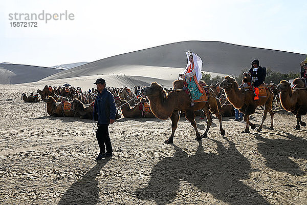 Touristen auf Kamelen werden in die Singenden Sanddünen in Dunhuang  Nordwestprovinz Gansu  China  Asien  geführt
