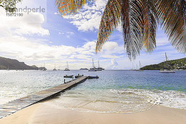 Ruhige Karibik  Palme am Meeresufer  Bootssteg  schönes Port Elizabeth  Admiralty Bay  Bequia  Die Grenadinen  St. Vincent und die Grenadinen  Inseln über dem Winde  Westindische Inseln  Karibik  Mittelamerika