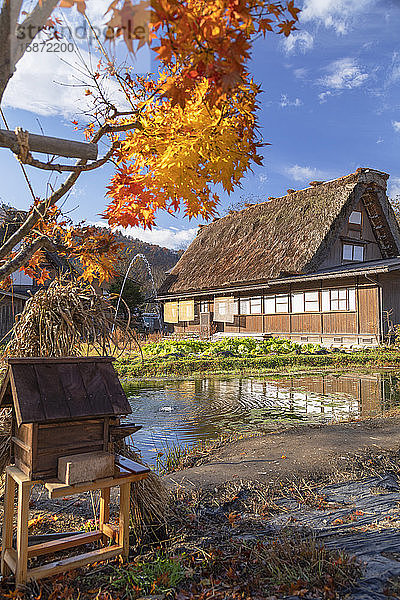 Traditionelles Haus von Ogimachi  UNESCO-Weltkulturerbe  Shirakawa-go  Präfektur Toyama  Honshu  Japan  Asien