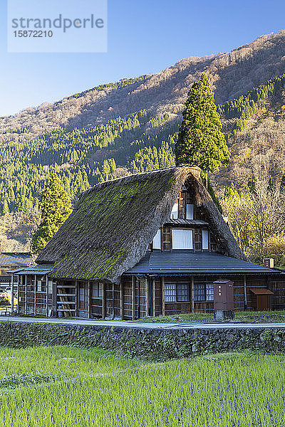 Traditionelle Häuser von Ainokura  UNESCO-Weltkulturerbe  Gokayama  Präfektur Toyama  Honshu  Japan  Asien