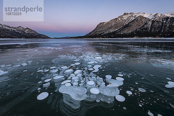 Eingeschlossene Methanblasen am Abrahamsee  Kootenay Plains  Alberta  Kanadische Rocky Mountains  Kanada  Nordamerika