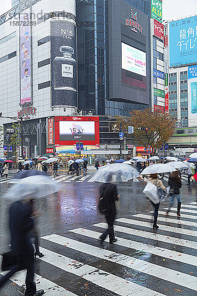 Menschen gehen über die Shibuya-Kreuzung  Shibuya  Tokio  Honshu  Japan  Asien