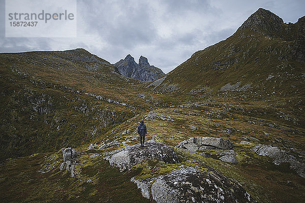 Mann steht auf einem Berg auf den Lofoten  Norwegen