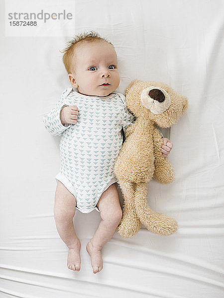 Baby-Junge (2-5Â Monate)Â auf dem Bett liegend mit Teddybär