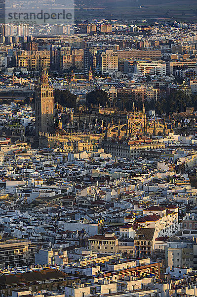 Spanien  Andalusien  Sevilla  Blick von oben auf die Kathedrale und die Stadt