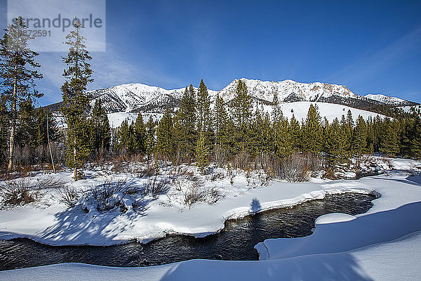 Bäume und Fluss im Schnee