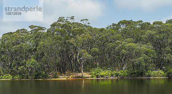 Wentworth Falls Lake im Blue Mountains National Park in New South Wales  Australien
