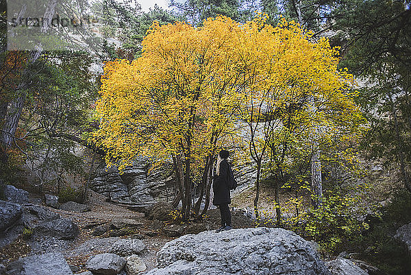 Junge Frau auf Felsblock im Herbstwald