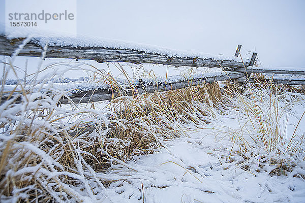 Holzzaun mit Schnee auf einem Bauernhof im Winter