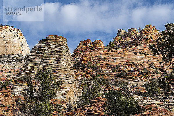 Felsen im Zion-Nationalpark in Utah  USA
