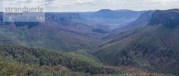 Tal im Blue Mountains-Nationalpark in New South Wales  Australien