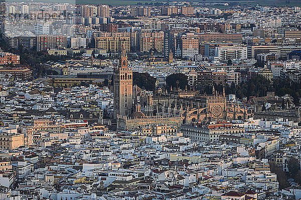 Spanien  Andalusien  Sevilla  Blick von oben auf den Giralda-Turm und die Kathedrale von Sevilla