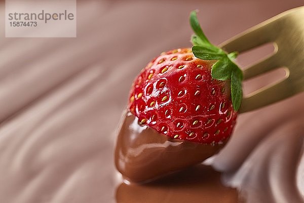 Erdbeere auf Schokolade