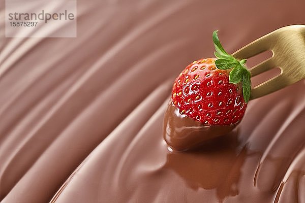 Erdbeere auf Schokolade