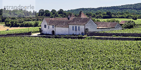 Europa  Frankreich   Bourgogne-Franche-ComtÃ©  Departement  Das Dorf Rully im VallÃ©e des Vaux (Tal der Vaux) erhielt seine AOC im Jahr 1939 und produziert heute Rotweine (Pinot Noir) und Weißweine (Chardonnay)