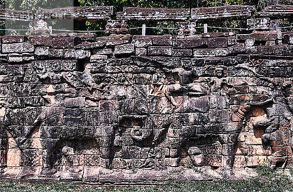 Die Elefantenterrasse ist ein Teil der ummauerten Stadt Angkor Thom  einer Tempelruine in Kambodscha. Die Terrasse wurde von Angkors König Jayavarman VII. als Plattform genutzt  von der aus er seine siegreich zurückkehrende Armee betrachten konnte. Sie war mit dem Palast Phimeanakas verbunden  von dem nur noch wenige Ruinen übrig sind. Der größte Teil der ursprünglichen Struktur bestand aus organischem Material und ist seit langem verschwunden. Das meiste  was übrig geblieben ist  sind die Fundamentplattformen des Komplexes. Die 350 m lange Elefantenterrasse wurde als riesige Tribüne für öffentliche Zeremonien genutzt und diente als Basis für die große Audienzhalle des Königs. Sie besteht aus fünf Vorbauten  die sich in Richtung des zentralen Platzes erstrecken - drei in der Mitte und einer an jedem Ende. Der mittlere Teil der Stützmauer ist mit lebensgroßen Garudas und Löwen geschmückt  an den beiden Enden befinden sich die beiden Teile der berühmten Elefantenparade mit ihren Khmer-Mahuts.
