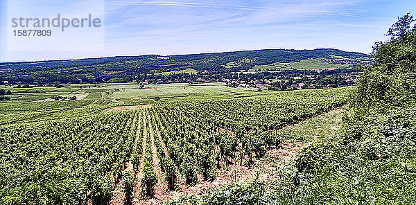 Europa  Frankreich   Bourgogne-Franche-ComtÃ©  Departement  VallÃ©e des Vaux ( Tal der Vaux ) ist eine Mulde hinter dem HÃ?gel Givry  geformt durch einen kleinen Fluss die Orbise  diese Mikroregion besteht aus etwa fÃ?nf DÃ¶rfern an der Chalonnaise KÃ?ste  ich nannte Barizey  Saint-Mard-de-Vaux  Saint-Martin-sous-Montaigu  Saint-Jean-de-Vaux und Saint-Denis-de-Vaux Vaux.