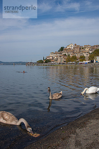 Europa  Italien  Latium  Anguillara Sabazia